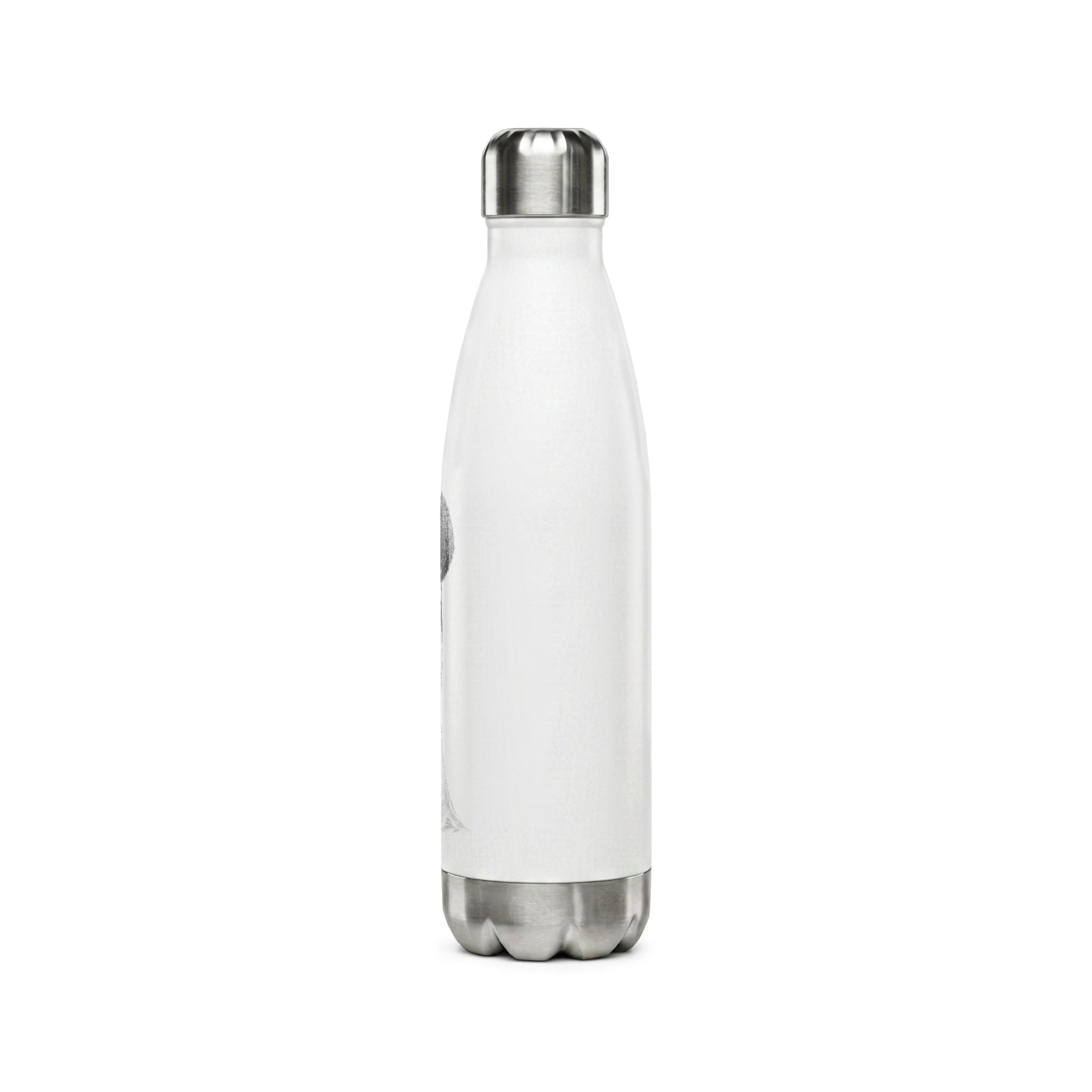 Stainless Steel Water Bottle — 17oz Insulated