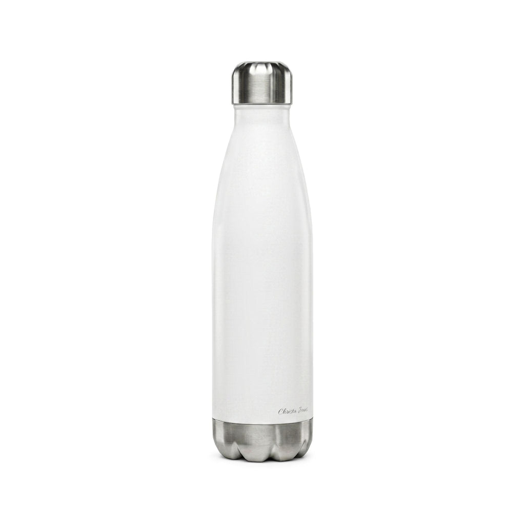 Stainless Steel Water Bottle — 17oz Insulated