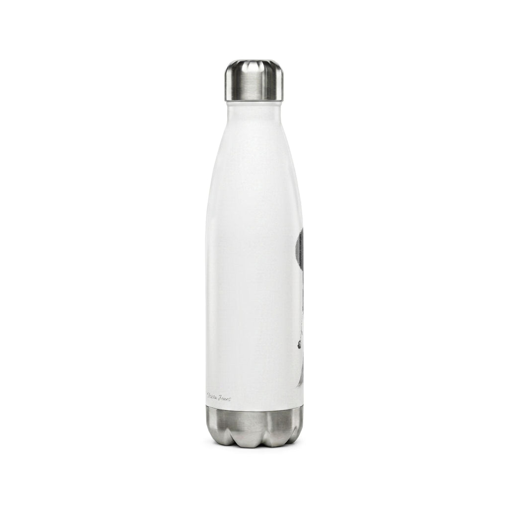 Stainless Steel Water Bottle — 17oz Insulated